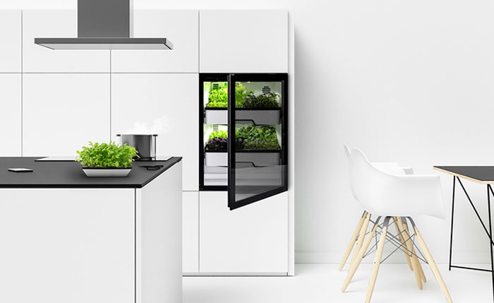 Plantcube Agrilution Miele